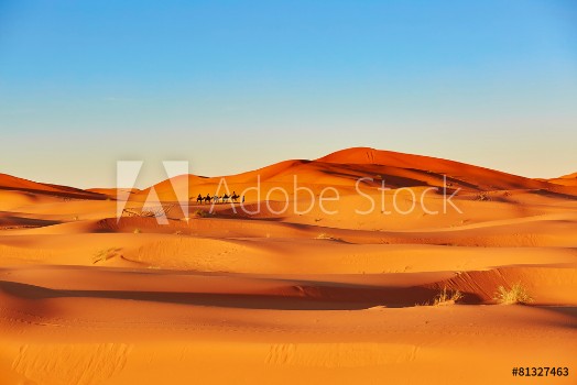 Bild på Camel caravan in Sahara desert